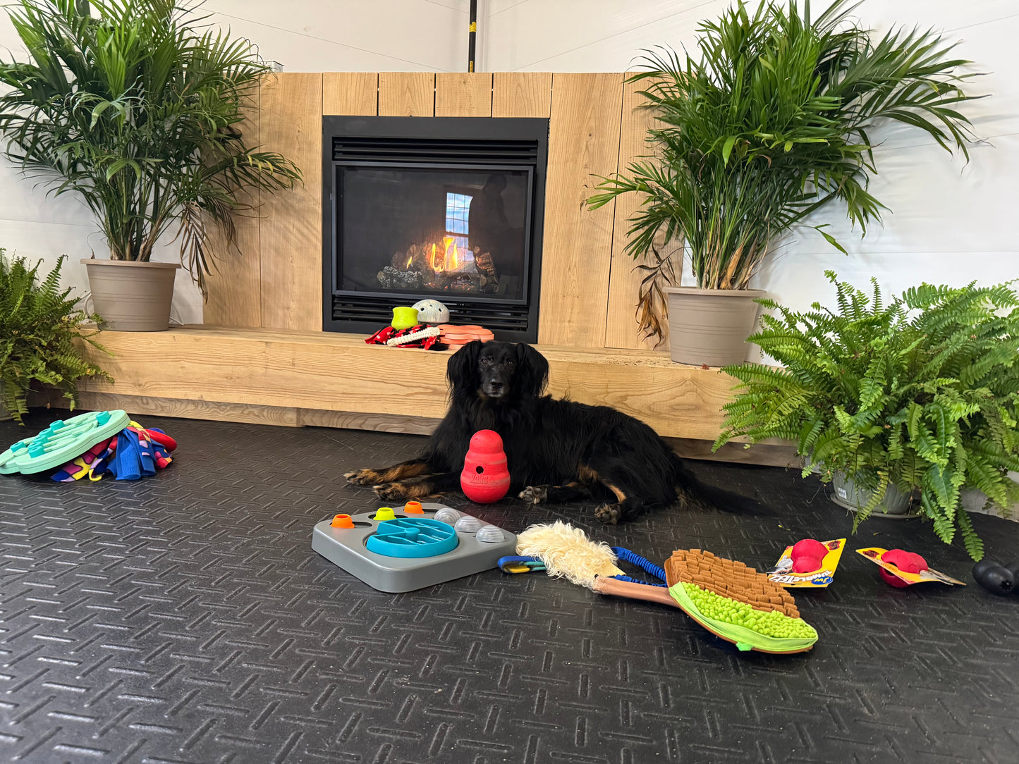 The Enrichment Library