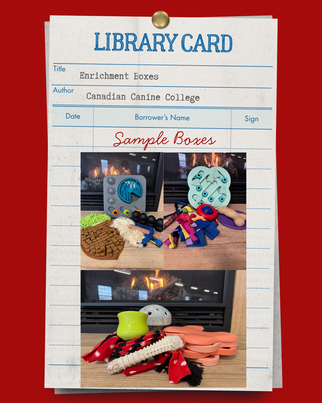 The Enrichment Library