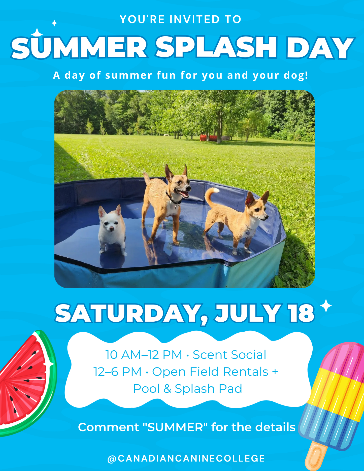 Summer Splash Day