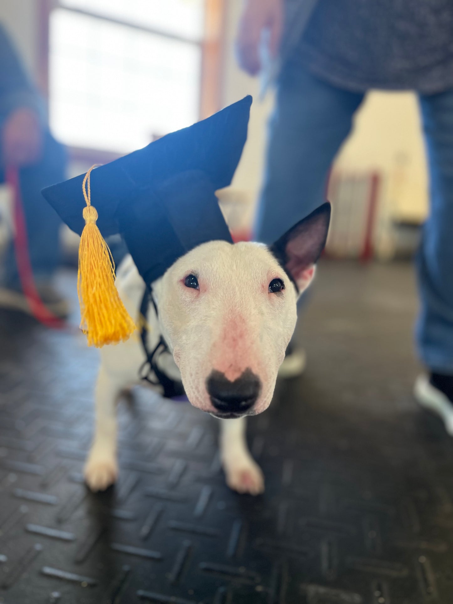 Core Foundations Program