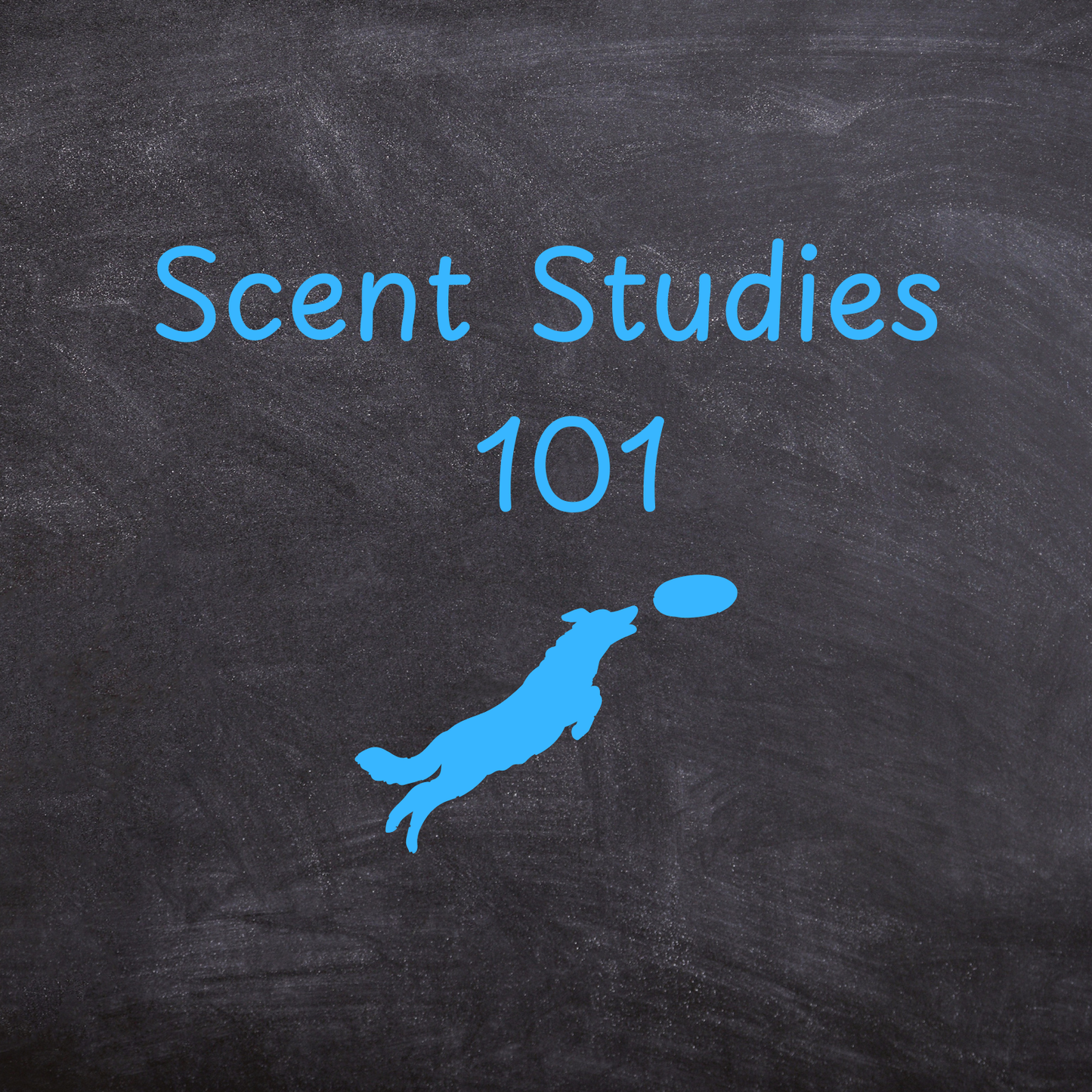 Scent Studies 101