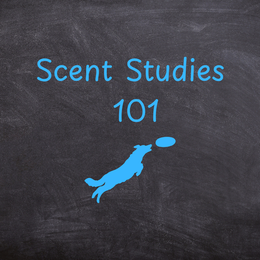 Scent Studies 101