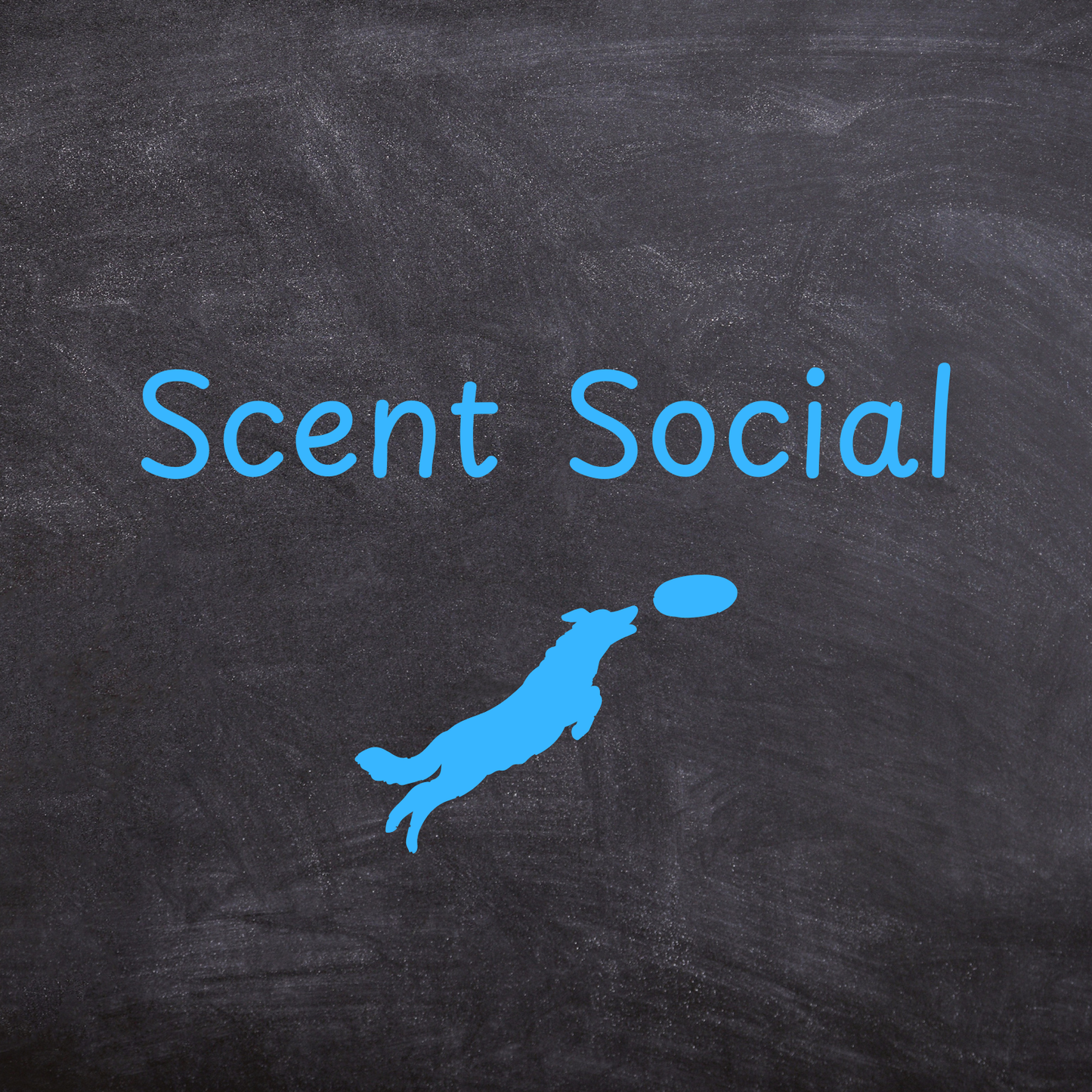 Scent Social: Christmas!