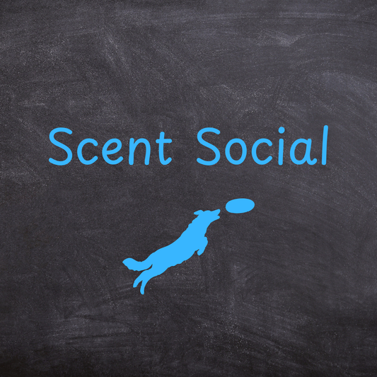 Scent Social: Christmas!