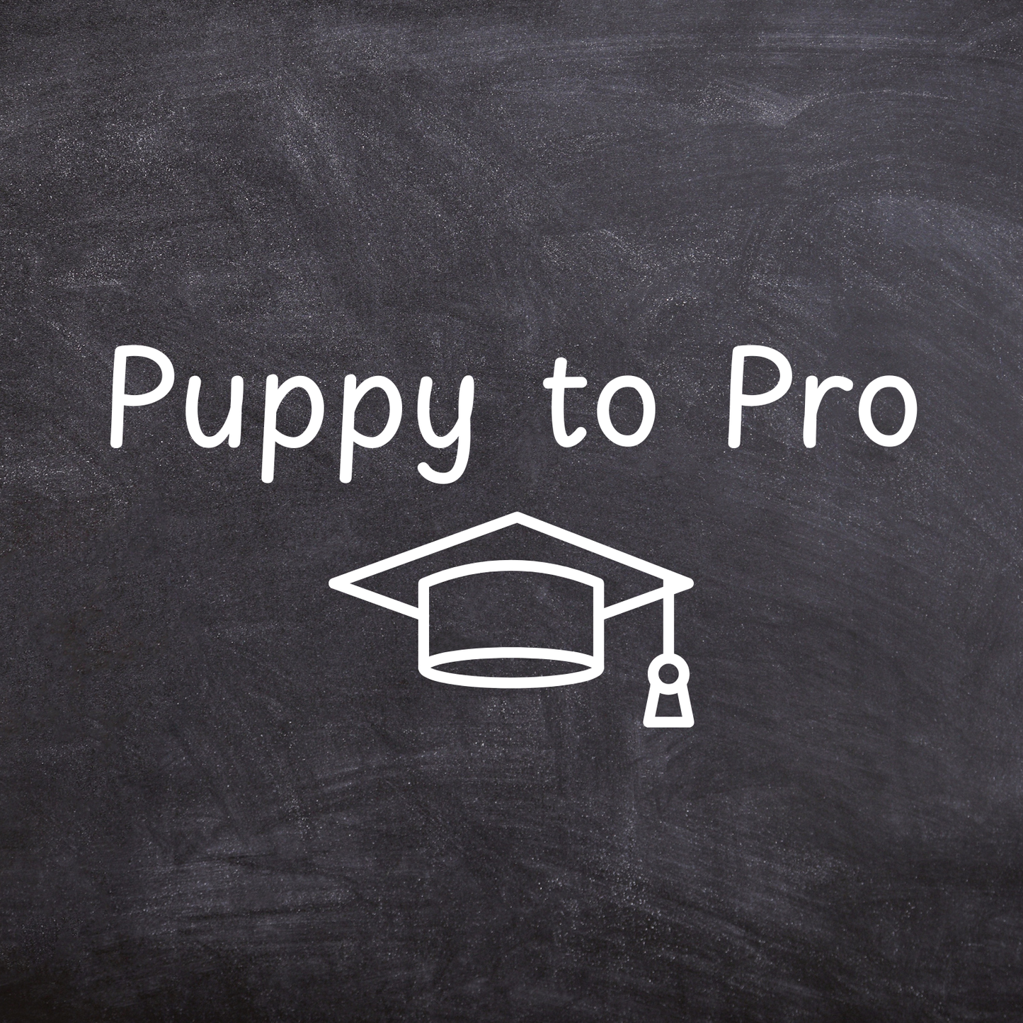 Puppy to Pro: The Ultimate Starter Package